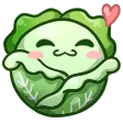 cabbagecute