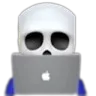laptopskull