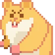 orange_hamsterbpunch