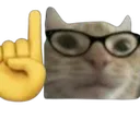 Cat_nerd