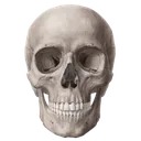 Mal