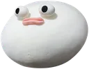 wtfish wtfish