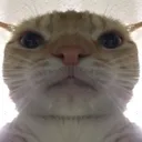 FPS_sudhstare FPS_sudhstare