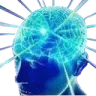 bigbrain