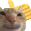 catThumbsUp