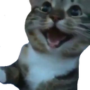 happycat