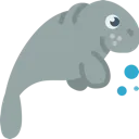manatee