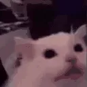 FLASHBANG