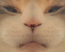 AlienOverlord AlienOverlord
