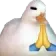 praygeese praygeese