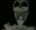 skull