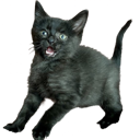 cb_shock Discord emoji
