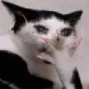 catgasp