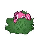 CTLBush