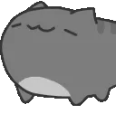 catbuggray
