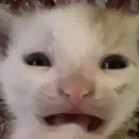emoji_102