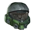 TacticatMk7