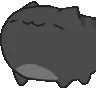 nodblack