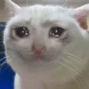Pls