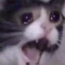 AHHHHHHHHHH