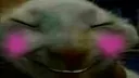 xddshy
