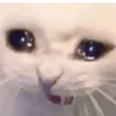 AHHH_CRI