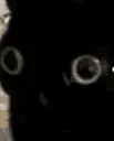 uti_puti