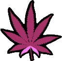 purpleweed