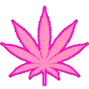discoweed