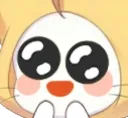 momo_awww momo_awww