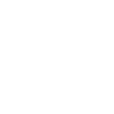 Alligator