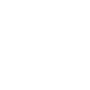 Reindeer