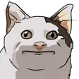 hgtt_cat1 Discord Emoji