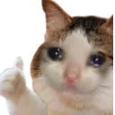 AL_wcat_sad