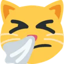 sneezing_cat
