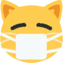 mask_cat
