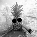 SCP4796GangstaPineapple