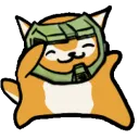 MeowsterChiefYay