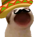 AMPopCatSombreroMexico