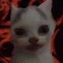 ZZschizocat