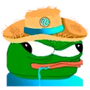 stupidpepe1
