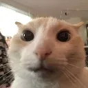 huh