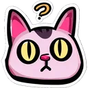 curious_cat curious_cat