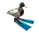 Gary