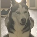 disgusted_stormy