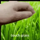 TouchGrass