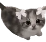 bibi
