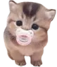bebi bebi