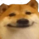 dogPain