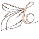 ButtercatSymbol_BB Discord Emoji